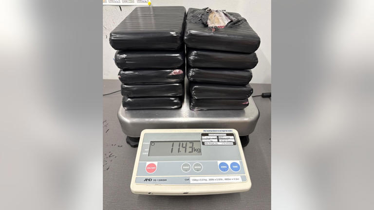 Police seize 25 pounds of fentanyl during Cobb County traffic stop