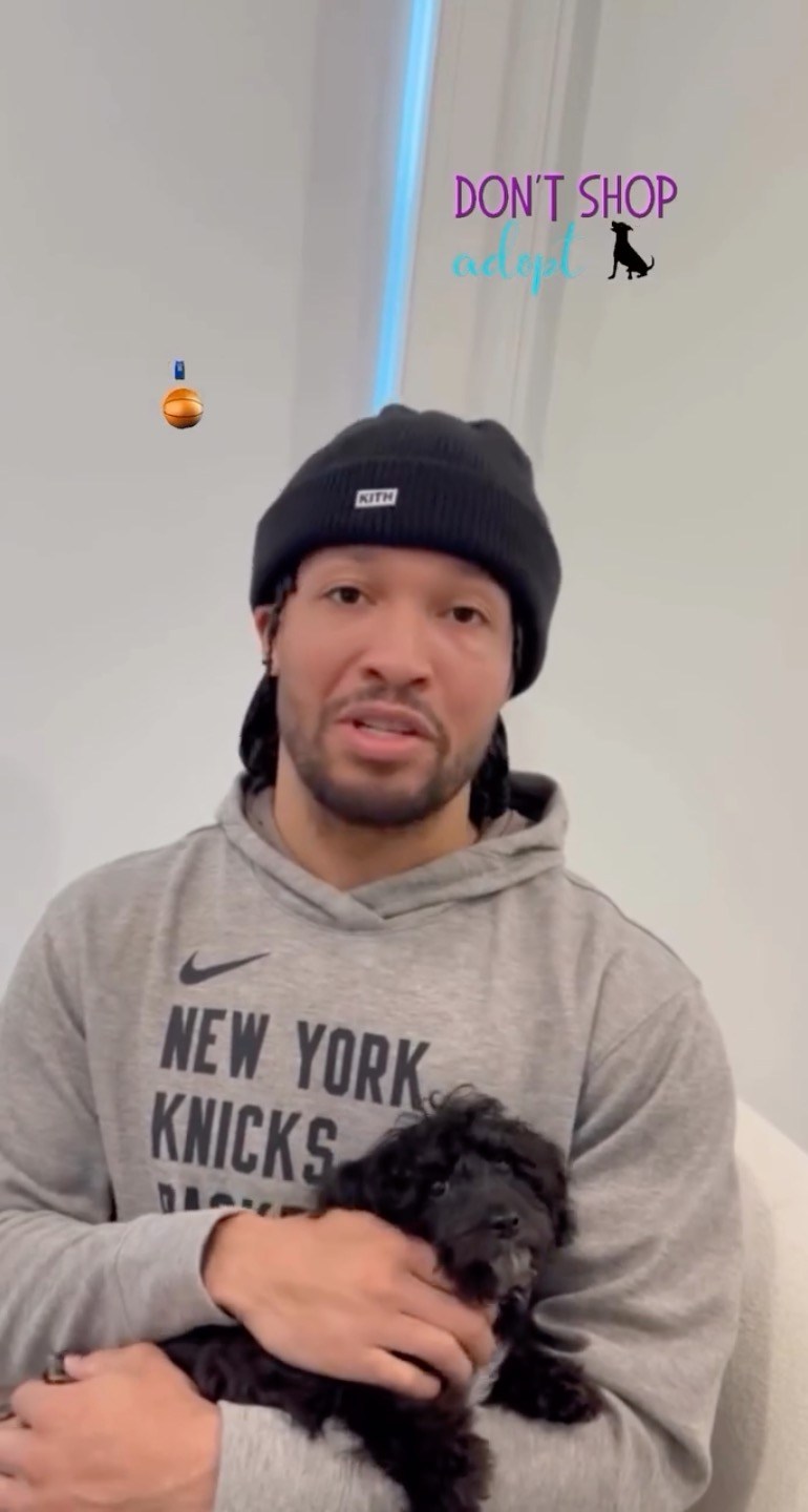 Jalen Brunson adopted his social media famous dog from Long Island ...