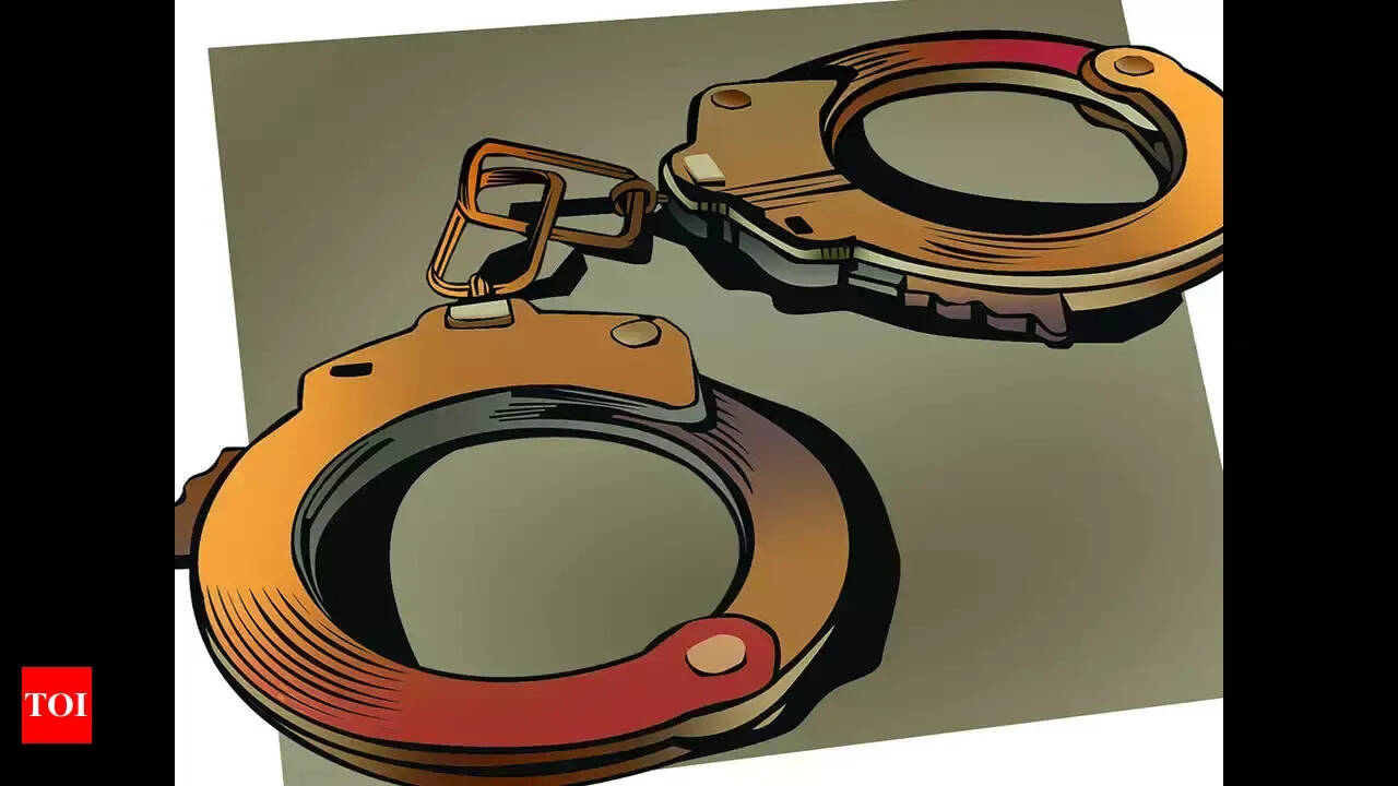 Two snatchers arrested in New Chandigarh, gold chain recovered