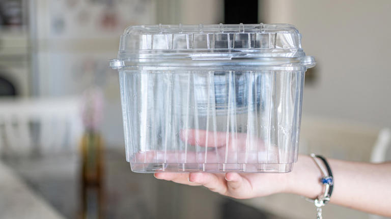 Don't toss old takeout containers — turn them into easy countertop ...