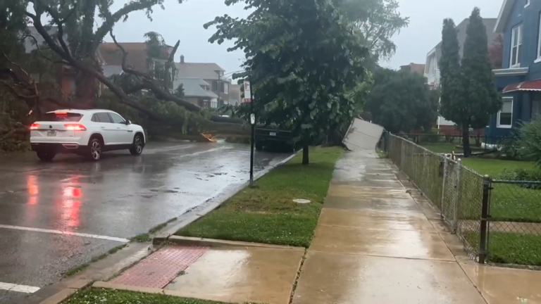 Chicago storm uproots massive tree, upends sidewalk in McKinley Park