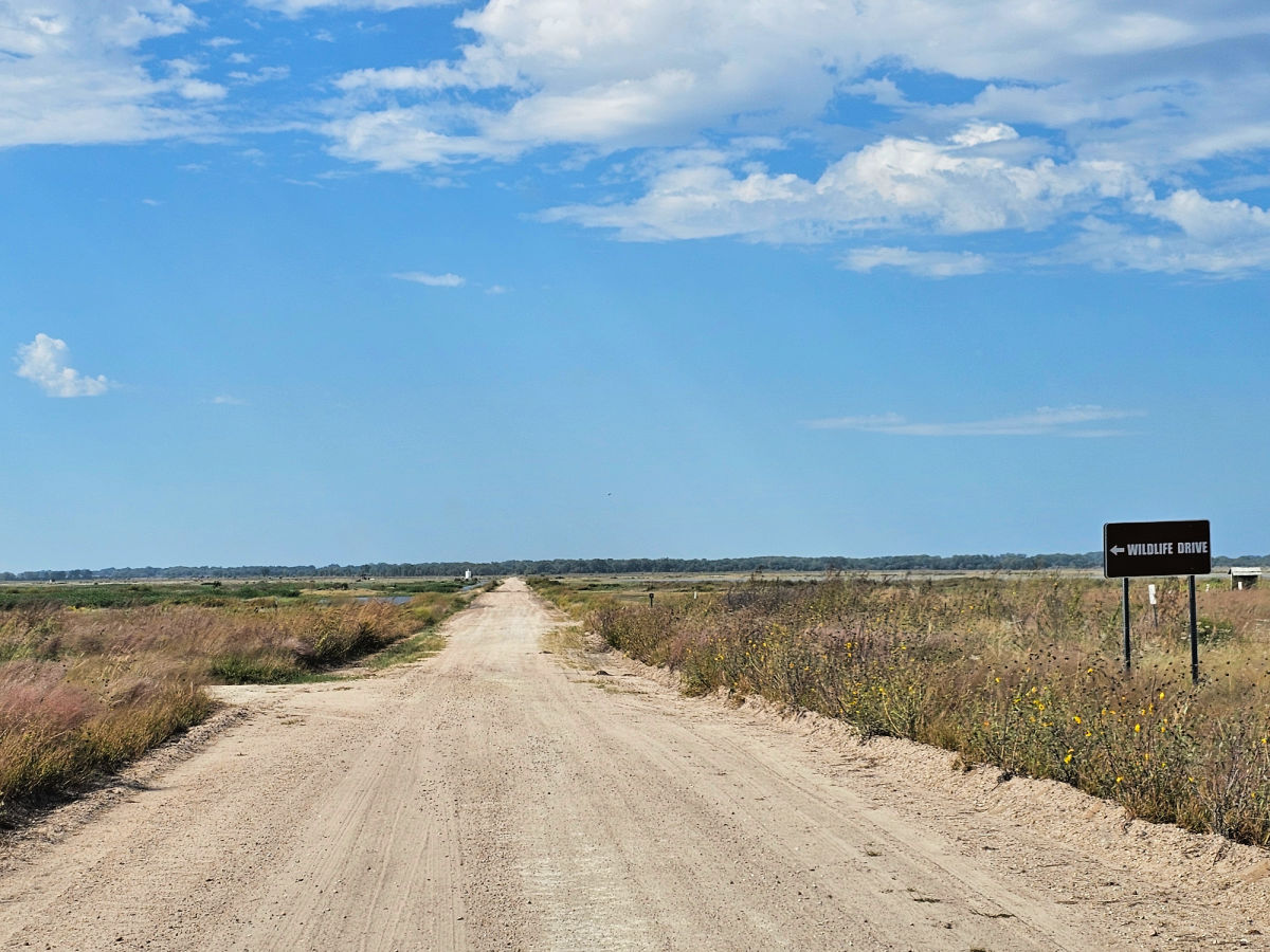 Auto Tour at Quivira National Wildlife Refuge