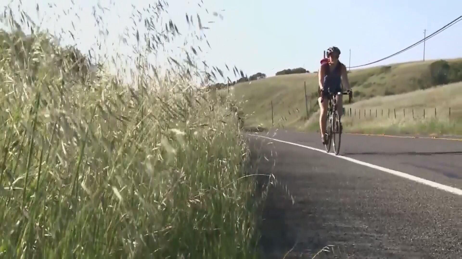 Bicyclists can treat stop signs as yields under Idaho law