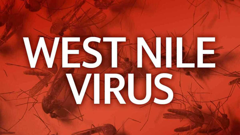First human case of West Nile detected in Sacramento County, health ...