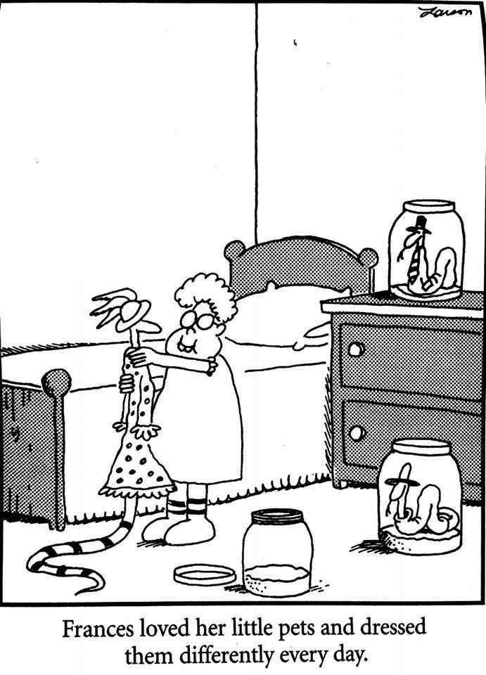 This The Far Side comic strip features Grandma Frances dressing up her snakes.