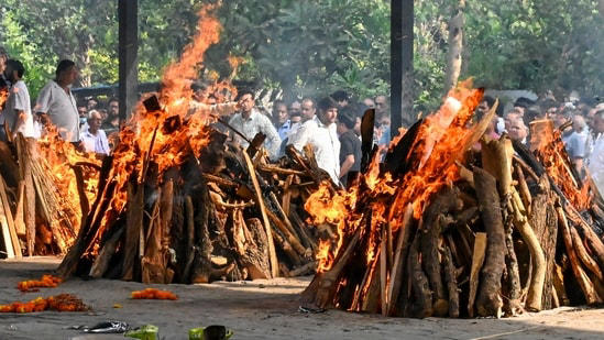 Delhi's Hauz Rani B&B fire toll rises to 23 after Bangladeshi woman ...