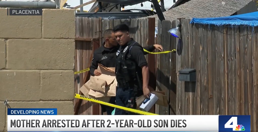 California mom charged with murdering toddler son and staging death as ...