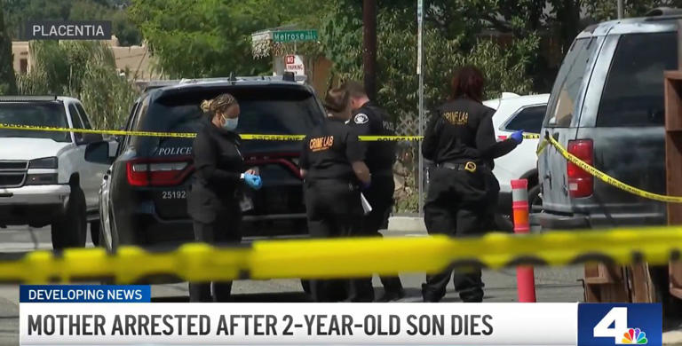 California mom charged with murdering toddler son and staging death as ...