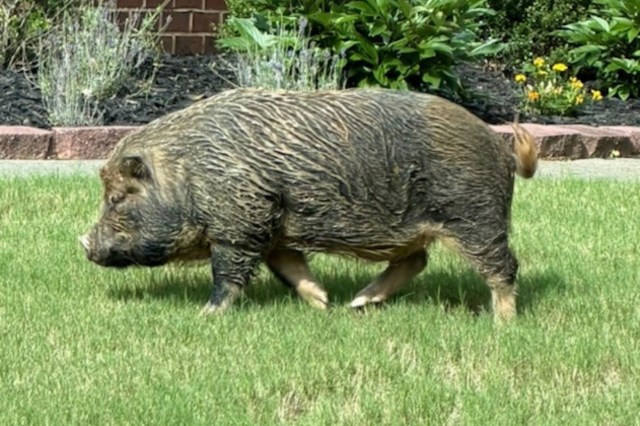 'No one is going to believe me': Atlanta residents keep spotting a ...