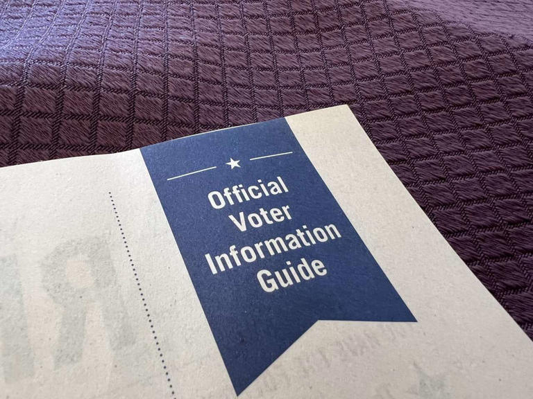 Potentially offensive voter guide statements under scrutiny in California