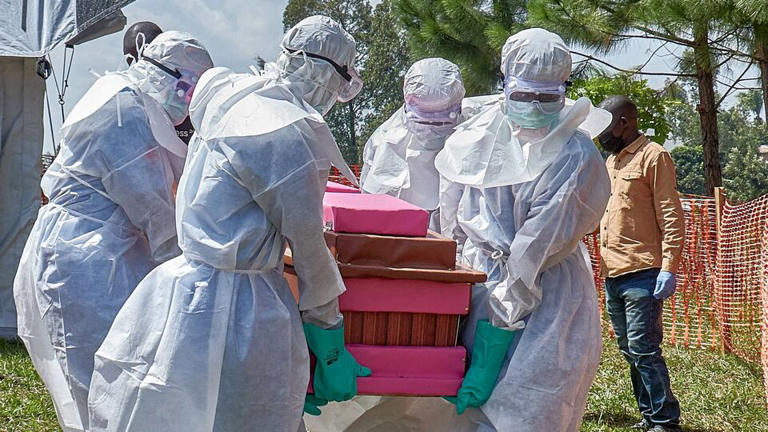 World news today live updates on June 11, 2026: WHO revises Ebola risk ...