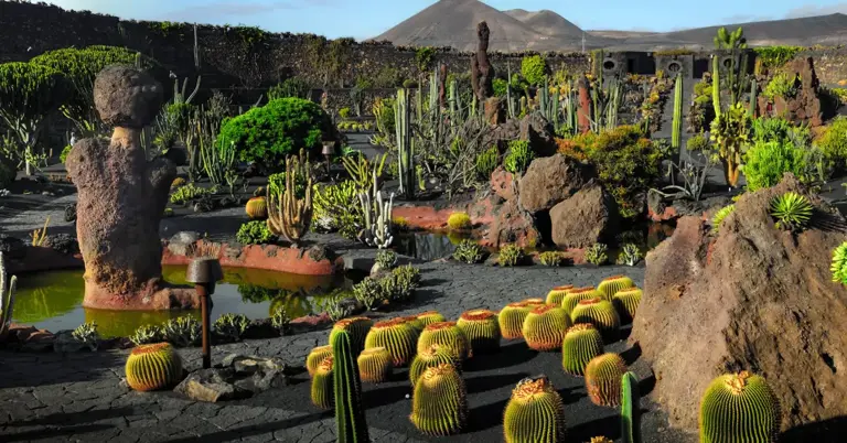 De cantera abandonada al jardín más curioso de Canarias