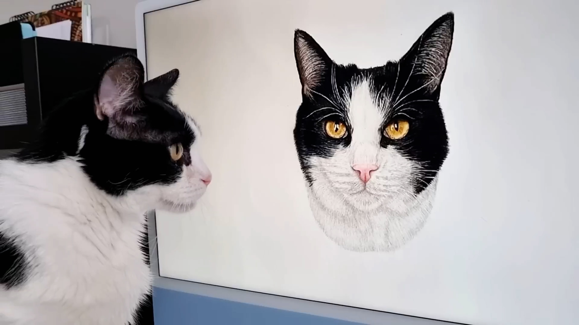 cat-reacts-to-a-portrait-that-looks-too-real
