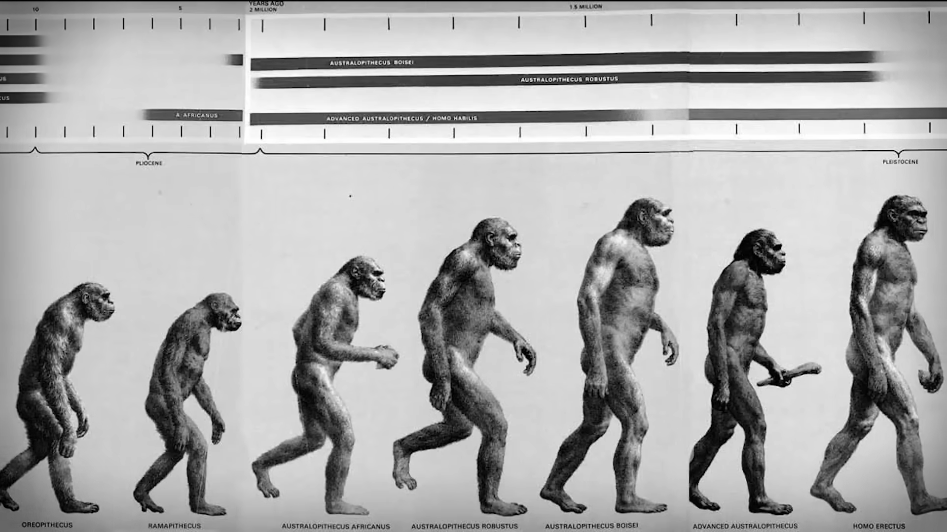 What was supposed to prove evolution's greatest mystery became a ...