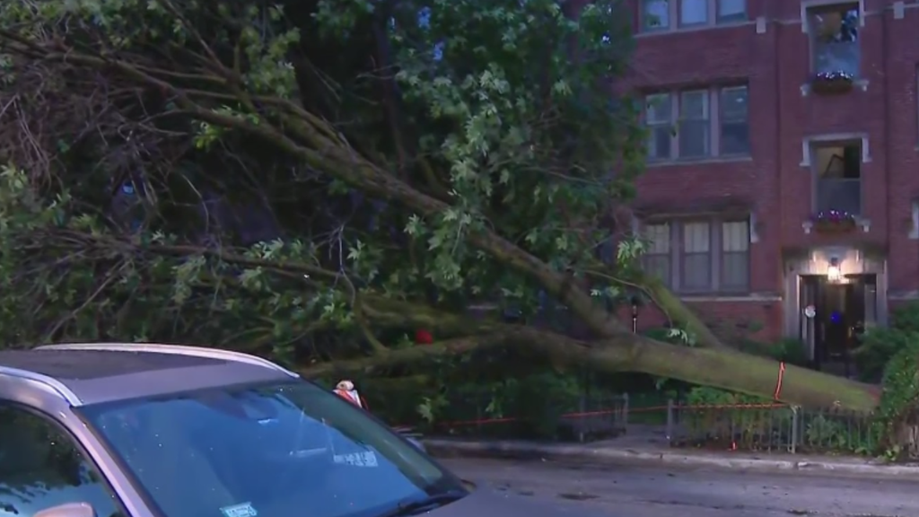ComEd responding to thousands of power outages as Chicago area braces ...