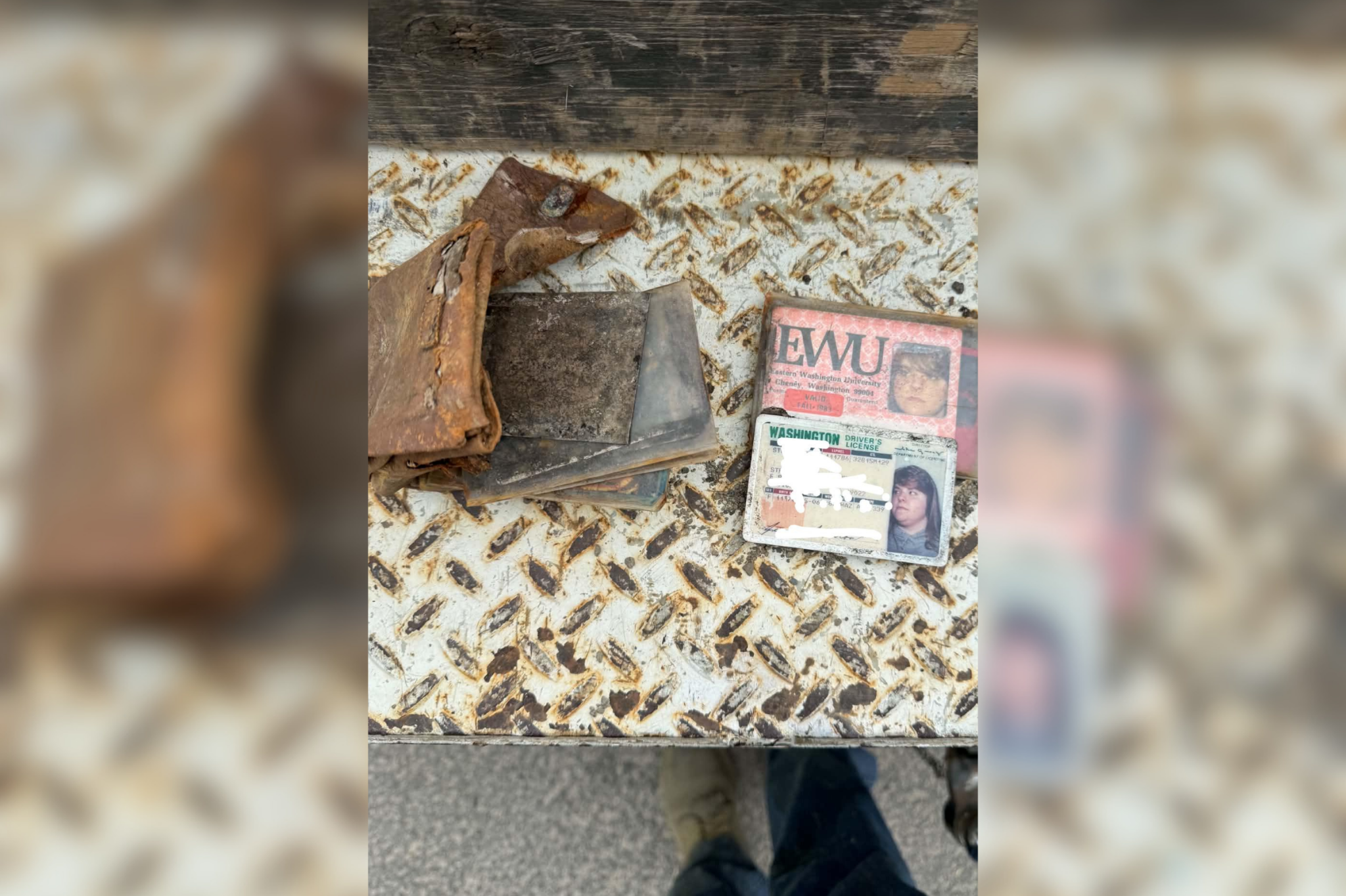 A woman had her wallet stolen in college—43 years later, a stranger ...