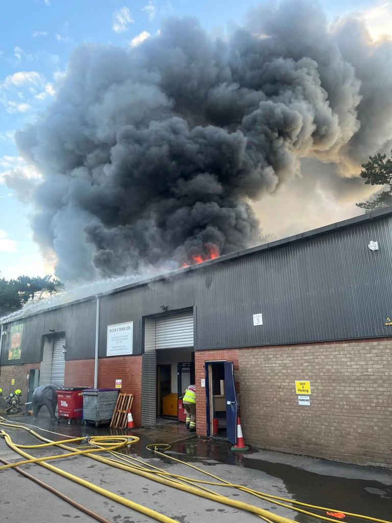Horrific fire blazes through children's zoo killing almost all animals ...