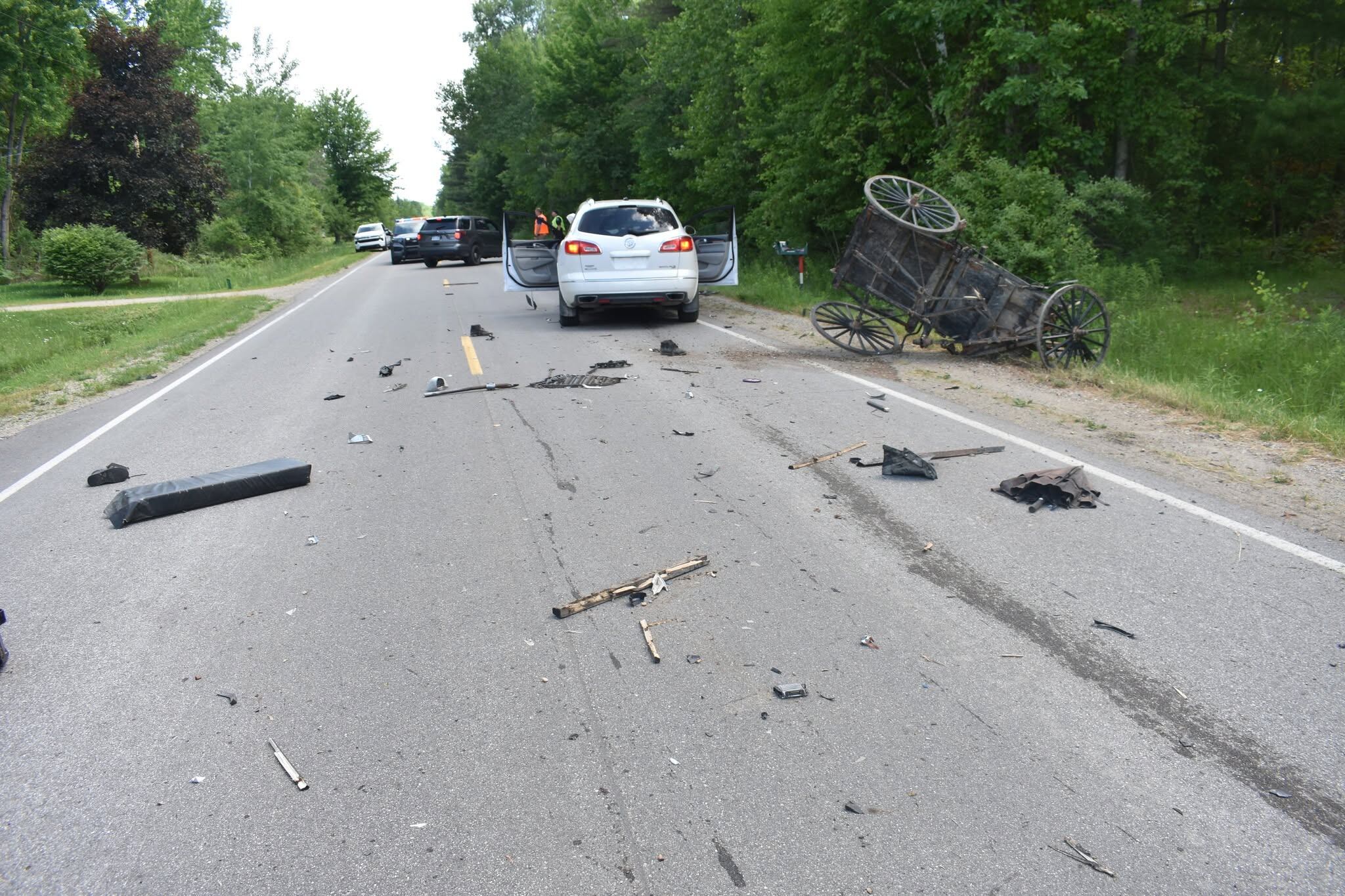 Boy, 11, seriously hurt; horse killed in crash involving buggy