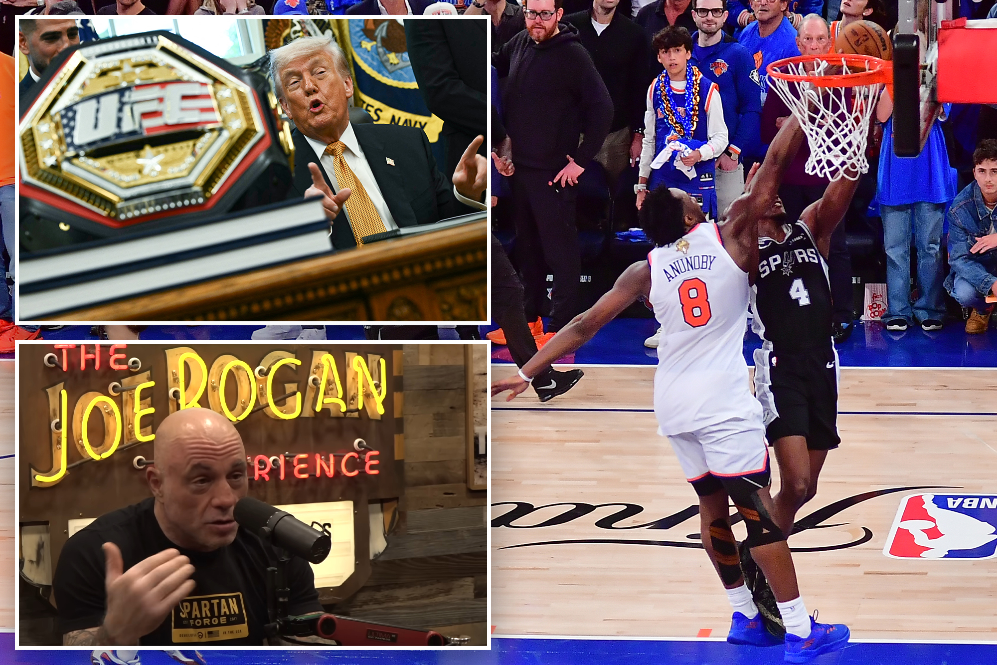 Joe Rogan urges Trump to ‘stick to the UFC’ after Knicks game: ‘Gonna ...