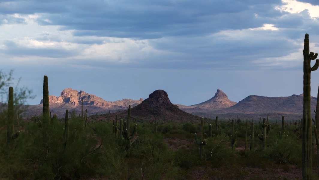 Arizona's wonders of rock, wildlife, and sky