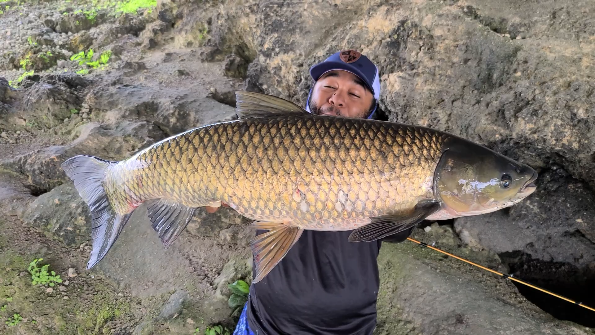 How this fisherman catches a fish in 3 seconds and makes it look effortless