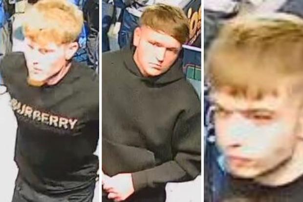 Police appeal for information after early hours sexual assault in city