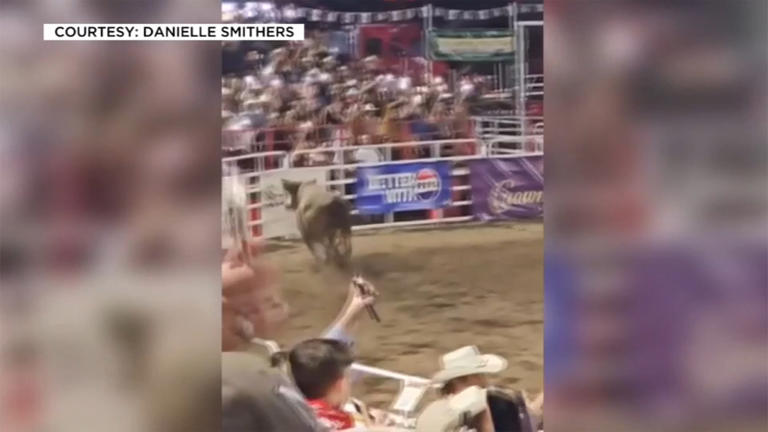 Woman files $9 million lawsuit over Sisters Rodeo bull escape