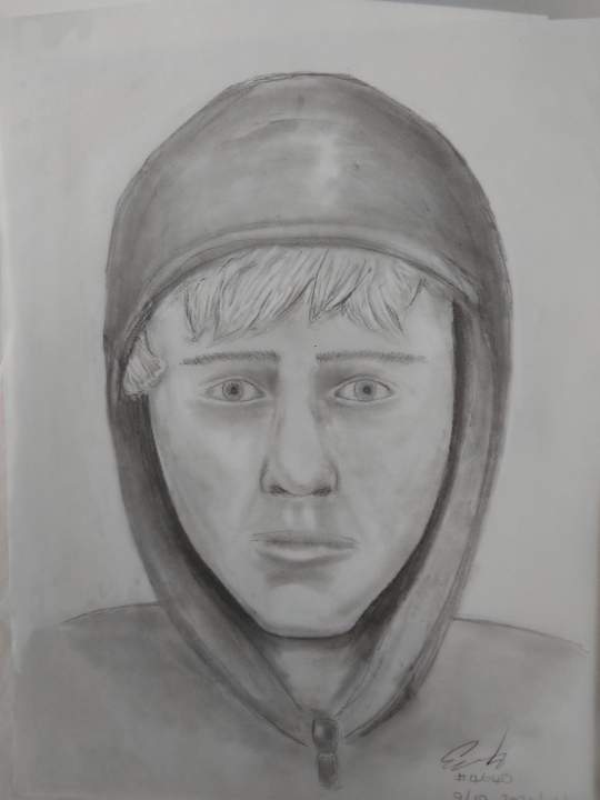 Calgary police release sketch of suspect in Fish Creek Park sex assaults