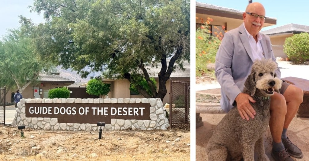 Guide Dogs of the Desert board chairman to step down amid leadership ...