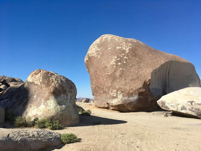 Estonian supermarket built around a 10,000-year-old Ice Age boulder