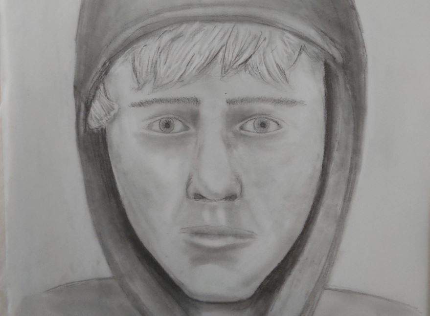 Calgary police release sketch of suspect in Fish Creek Park sex assaults