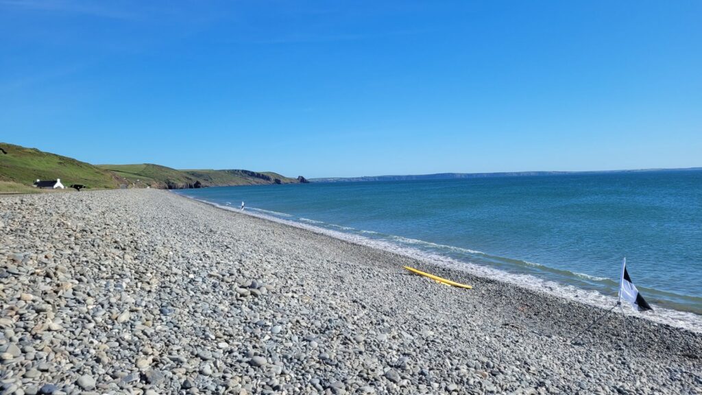 Hundreds of dead sharks and fish wash ashore along UK coast, prompting ...