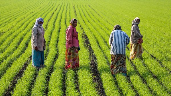 Women face the greatest climate risks but are critical to climate action