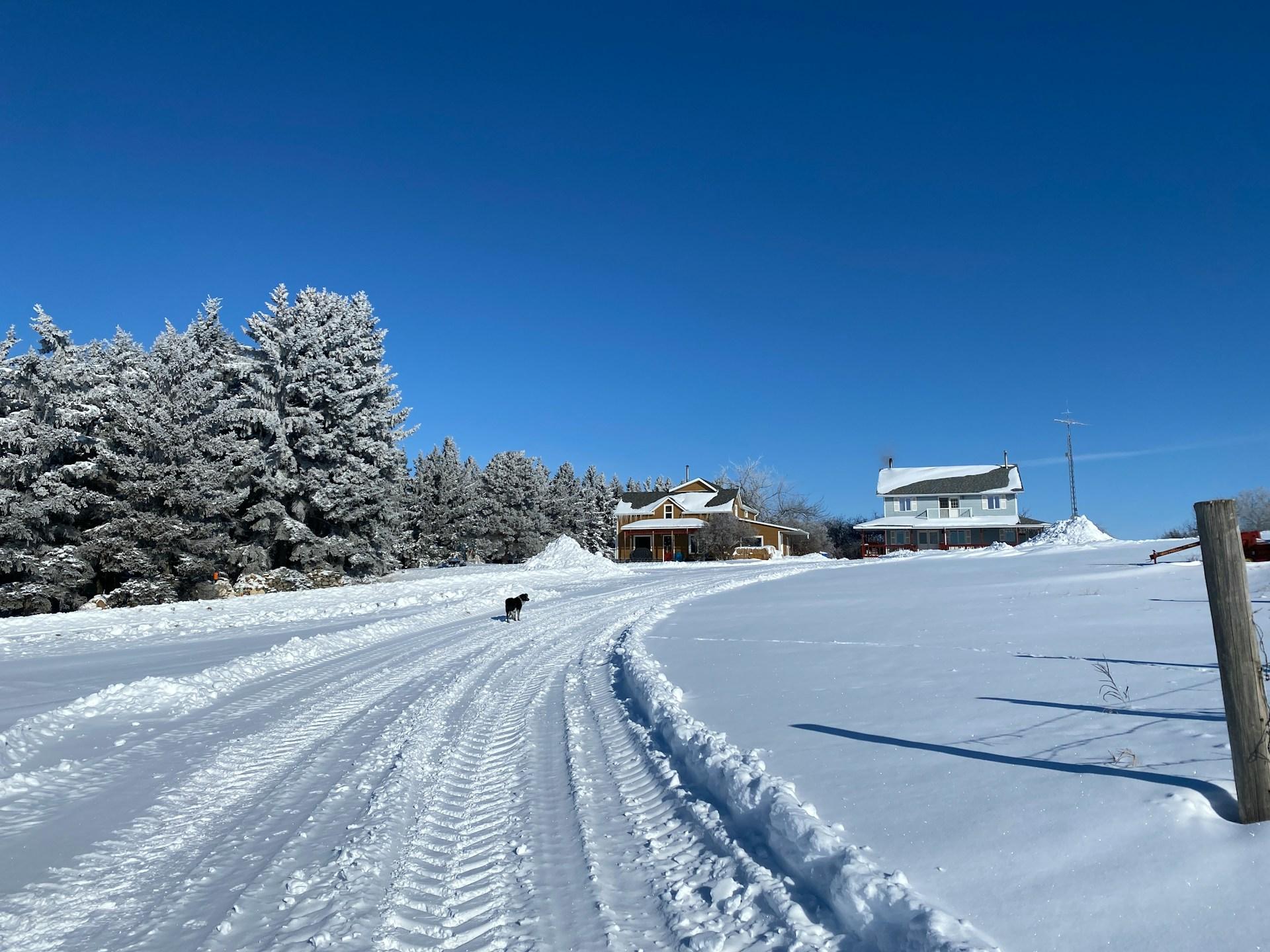The Prairie winter is -40°C and sunny. Vancouver calls 2cm of slush a ...
