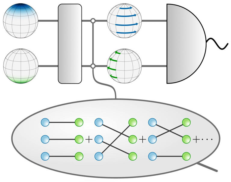 A new kind of entanglement helps quantum sensors tune out noise