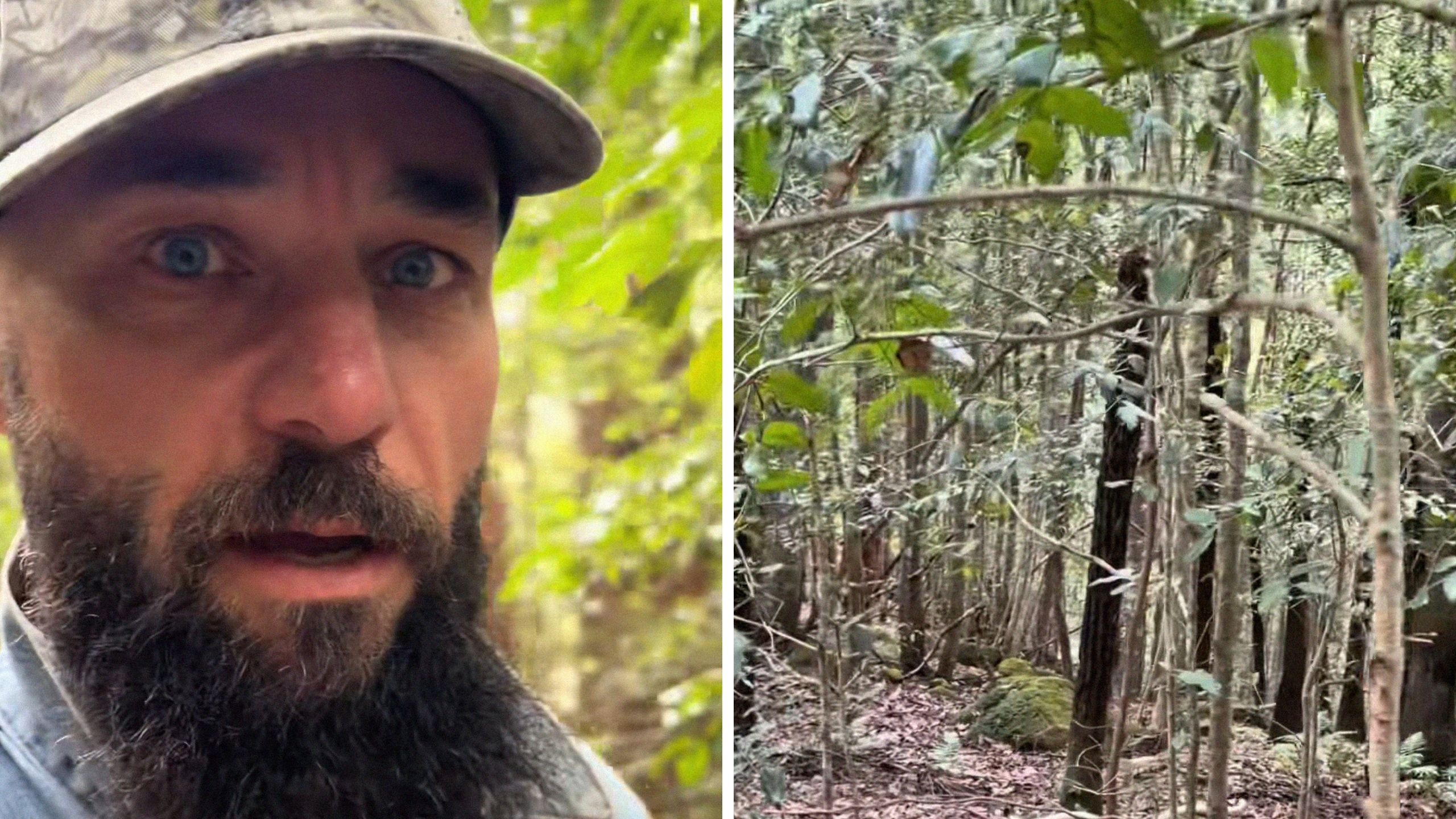 Man goes on a walk in the Australian wilderness then he comes across an ...
