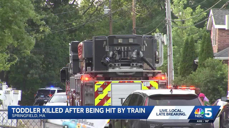Toddler dies after being hit by train in Massachusetts