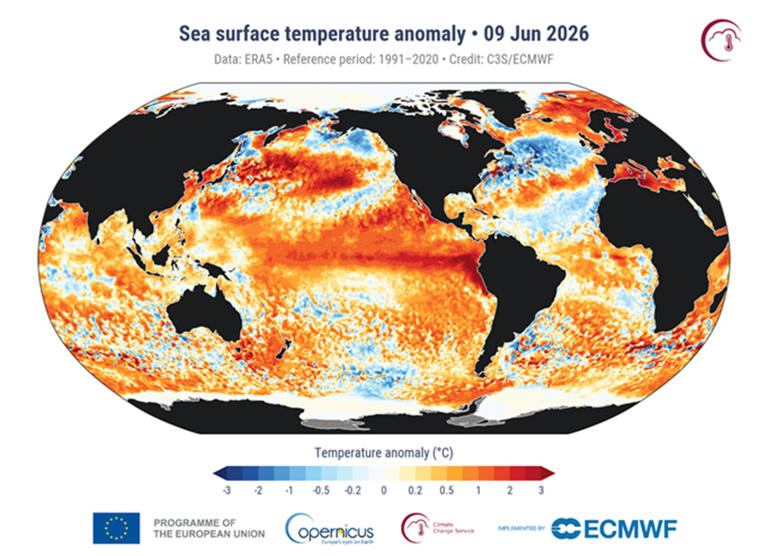 Godzilla El Nino in Pacific Ocean expected to grow to historic strength ...