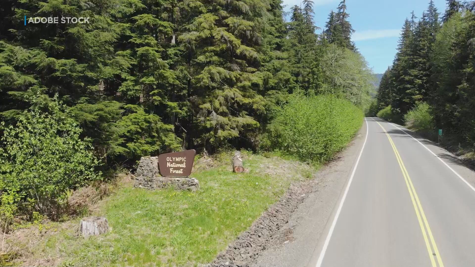 Human remains in Washington identified as missing Hawaii man decades later