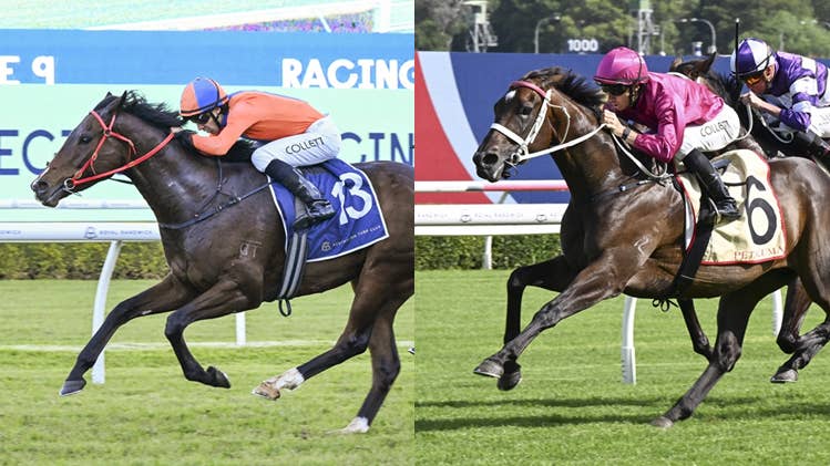 Australia: Queensland Racing's grandest spectacle