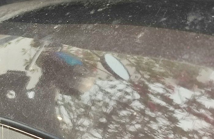 Inilah cara cegah bodi panuan setelah kehujanan, jangan dibiarkan saja
