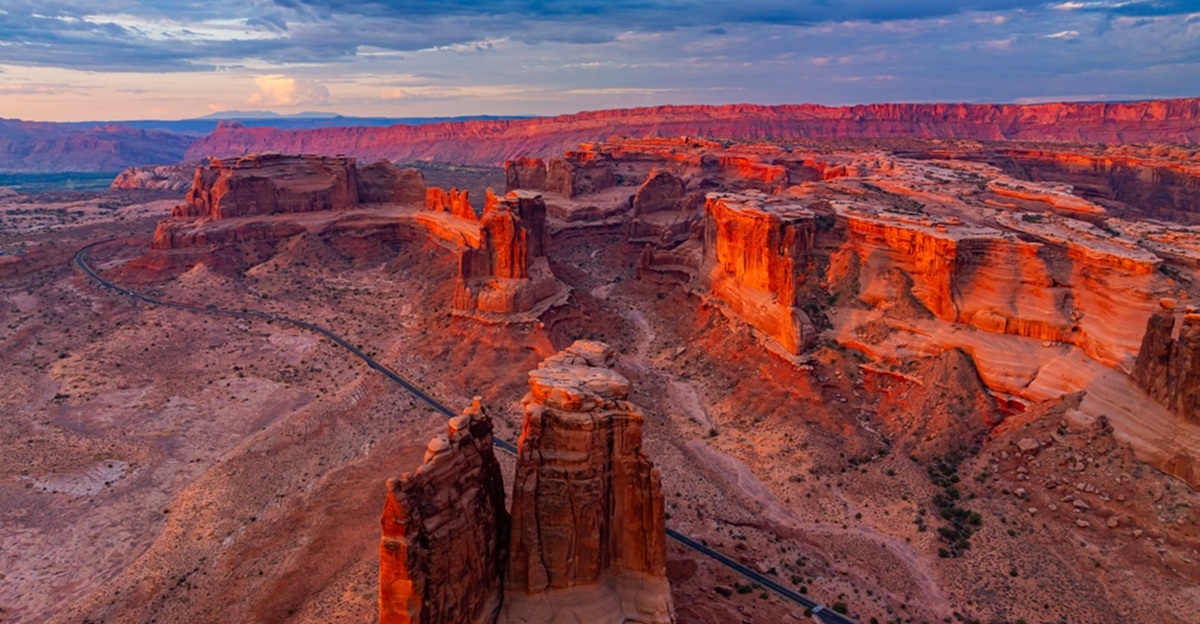 14 desert wildlife trips with red rocks, night skies, and short trails
