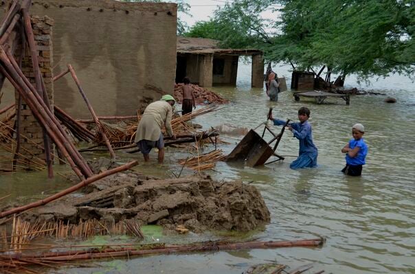 2025 floods caused Rs822 billion losses across PakistanPublished on ...