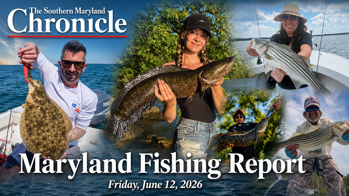 Maryland fishing report for Friday, June 12, 2026