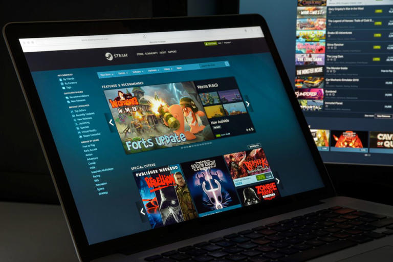 Curated visual reference: Picture Idea: Dutch Gamers Target Steam In 220 Million Price Fixing Claim