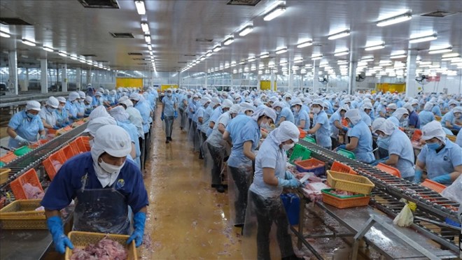 Người lao động Cần Thơ được tạo điều kiện chuyển đổi nghề, có thu nhập tốt hơn