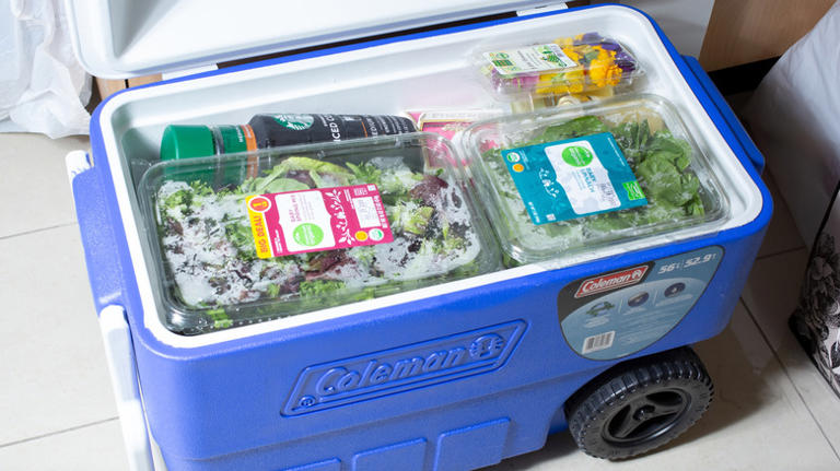 12 highest-rated wheeled coolers under $100 on Amazon