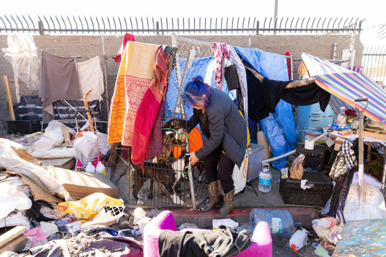 Berkeley homeless camp spreads deadly disease, killing 1 — as 200 rats ...