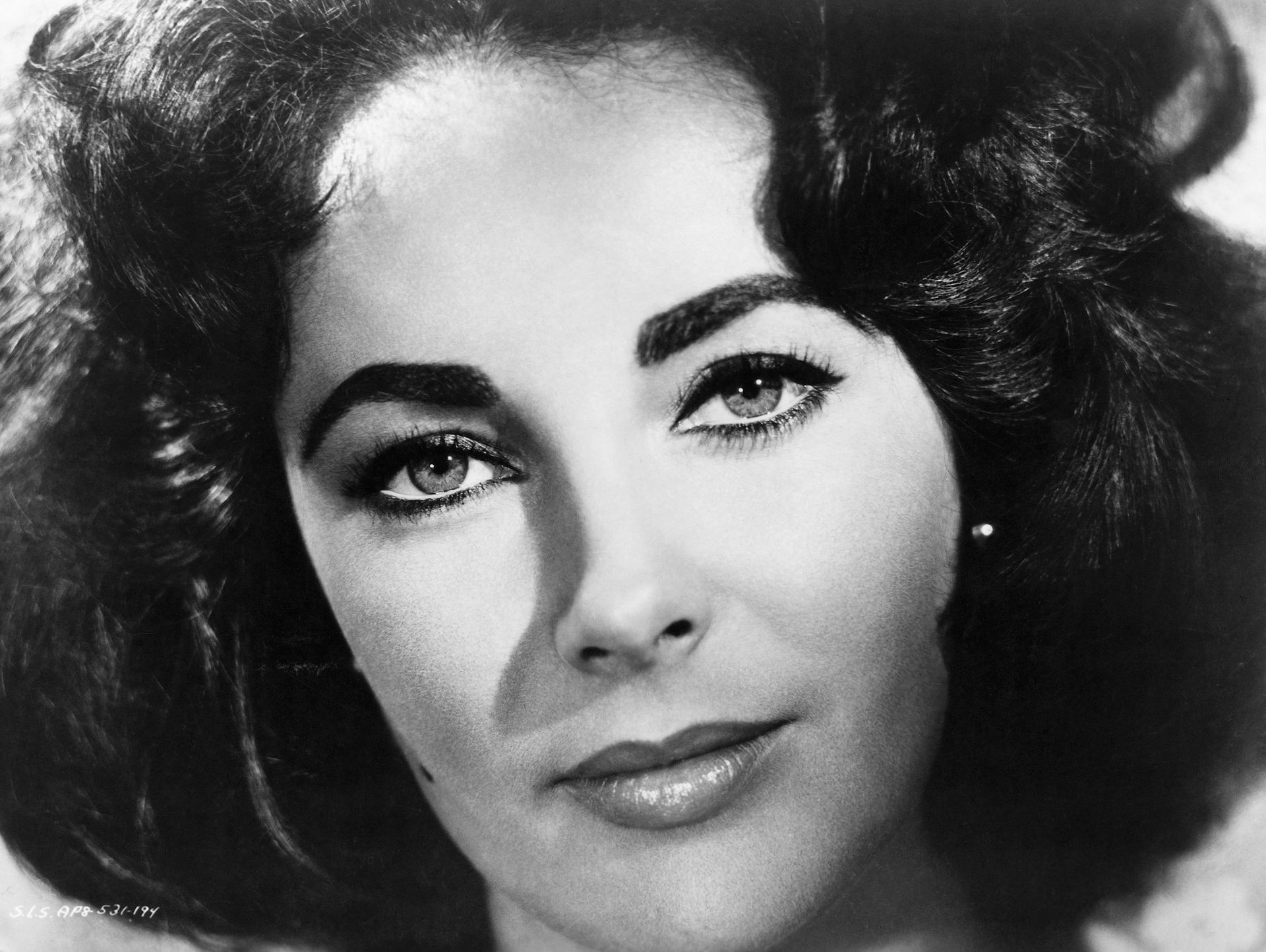 Pictures of celebrity eyebrows to emulate