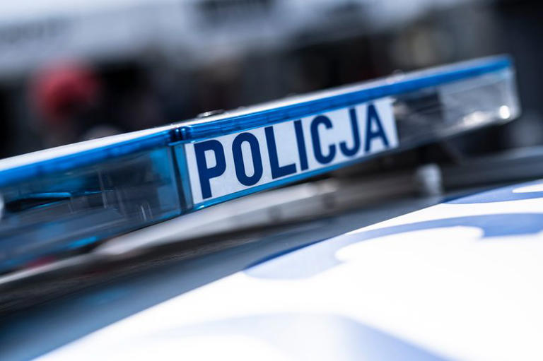Horror in Poland as bodies of 29 unborn babies found under family home